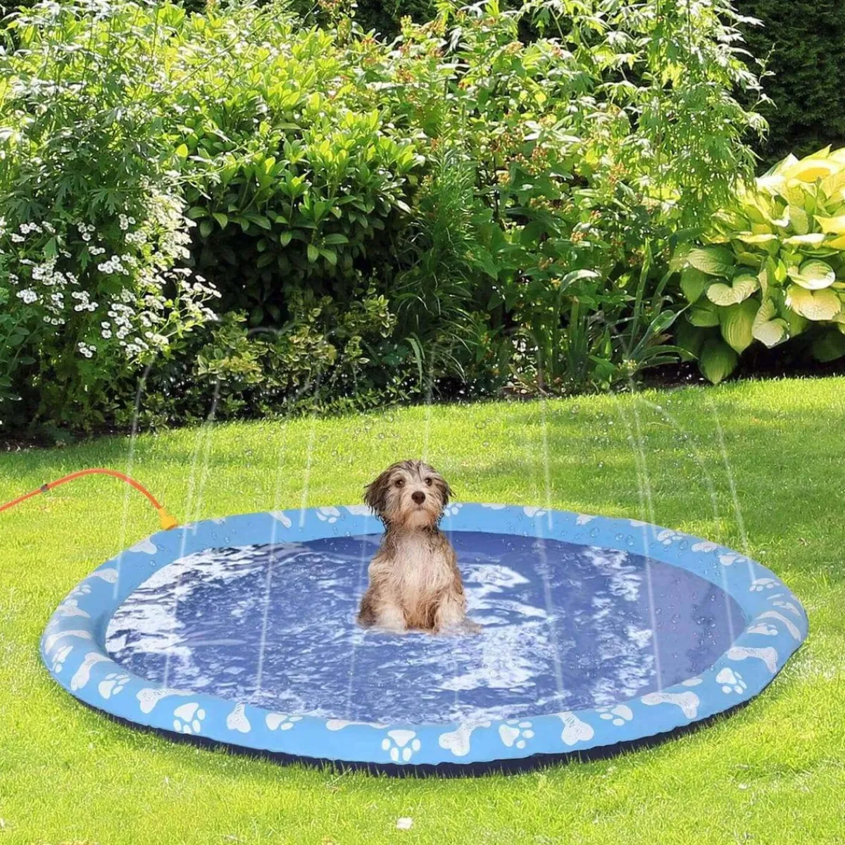 PawHut Coleccionables Y Mini Mundos*Bañera con aspersor para mascotas