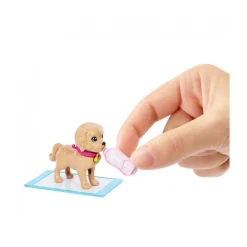 MATTEL Muñecas*Barbie - Muñeca adopta perritos