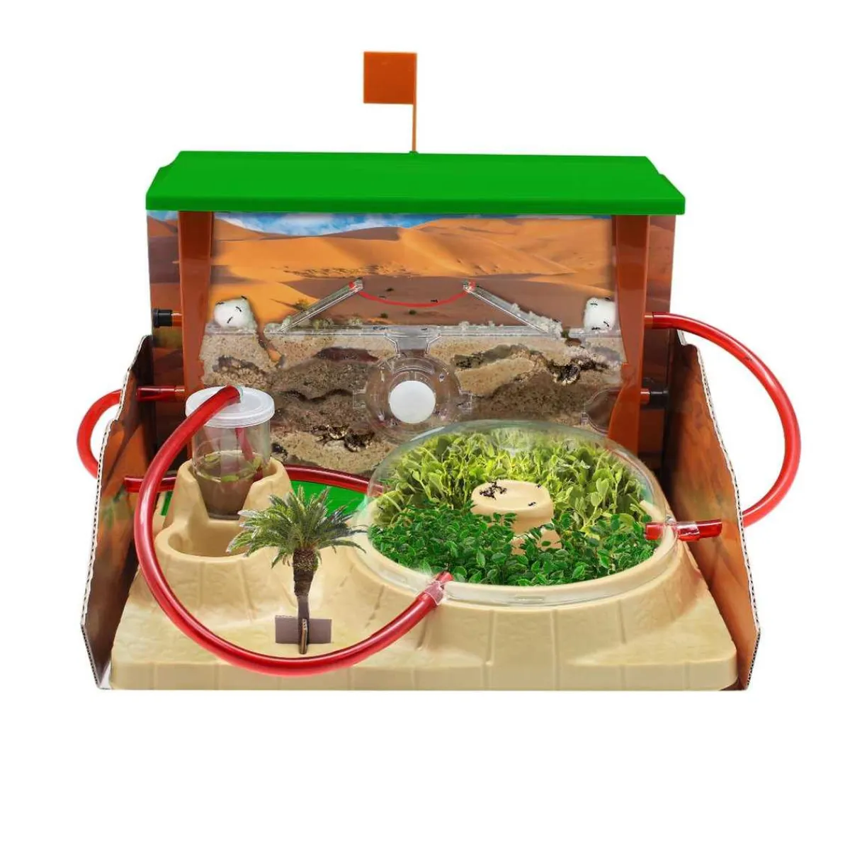 CEFA Steam*- Hormi Plus