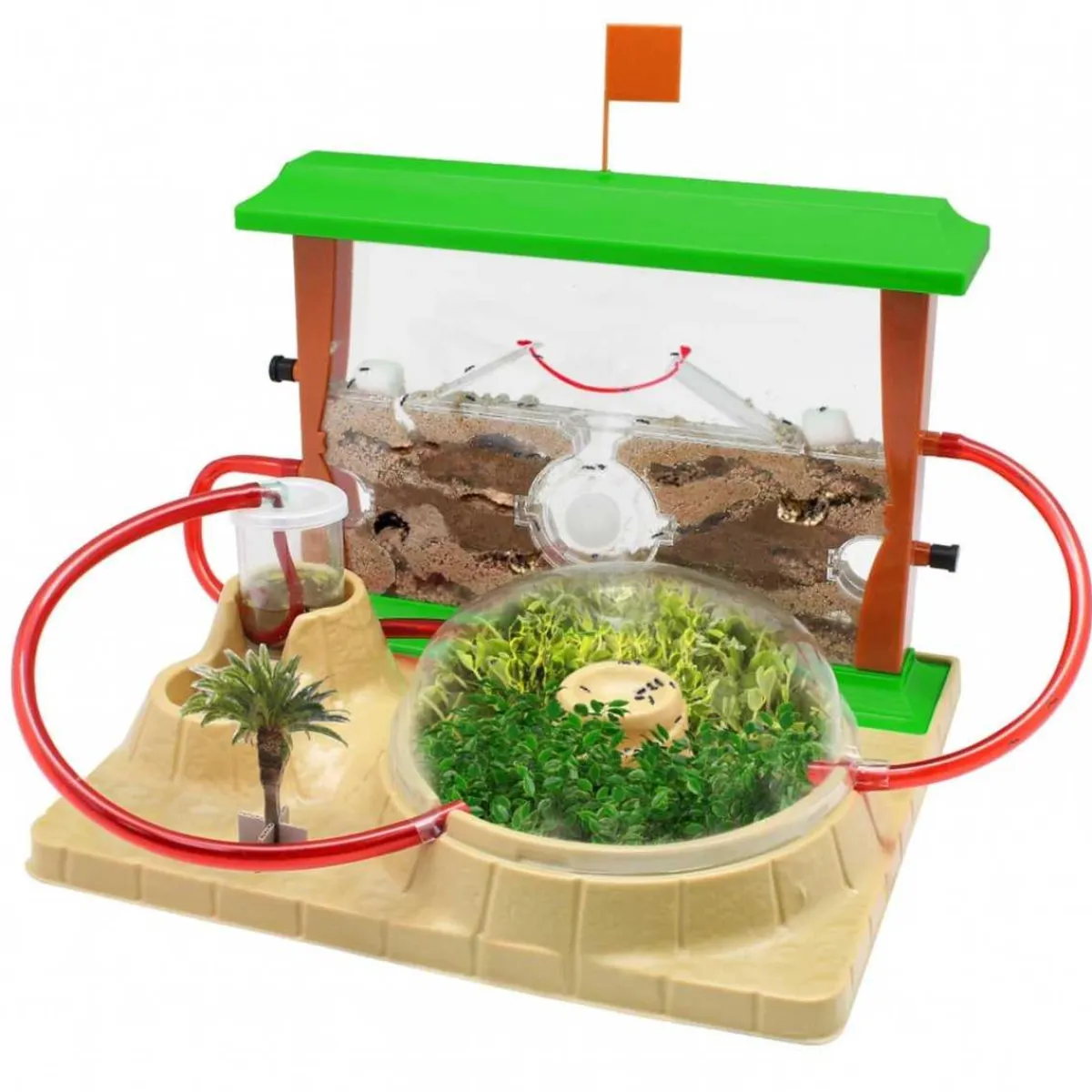 CEFA Steam*- Hormi Plus