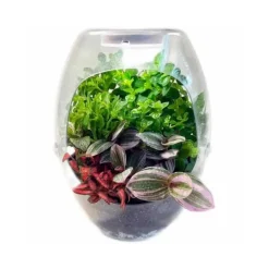 CEFA Steam*Toys - Terrario educativo con luz y libro guía Botani Plus ㅤ