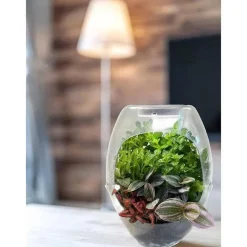 CEFA Steam*Toys - Terrario educativo con luz y libro guía Botani Plus ㅤ