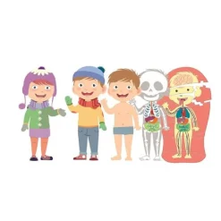 MONTESSORI Juguetes Educativos Y Libros|Juegos Y Puzzles*Clementoni - El Cuerpo Humano