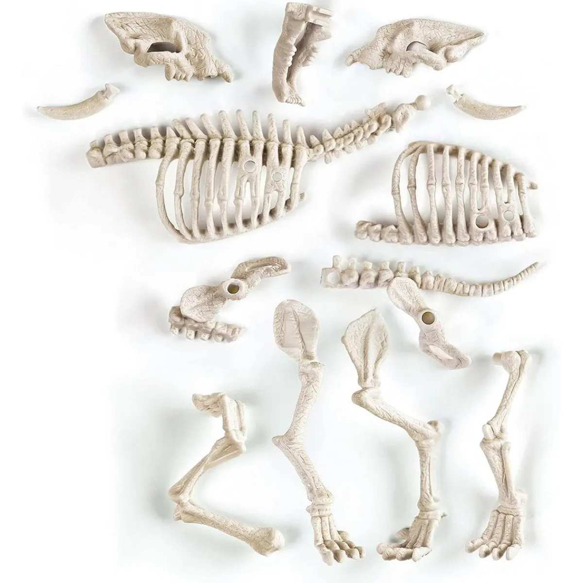 CLEMENTONI Steam*- Juego científico de excavación y montaje Smilodon fosforescente ㅤ