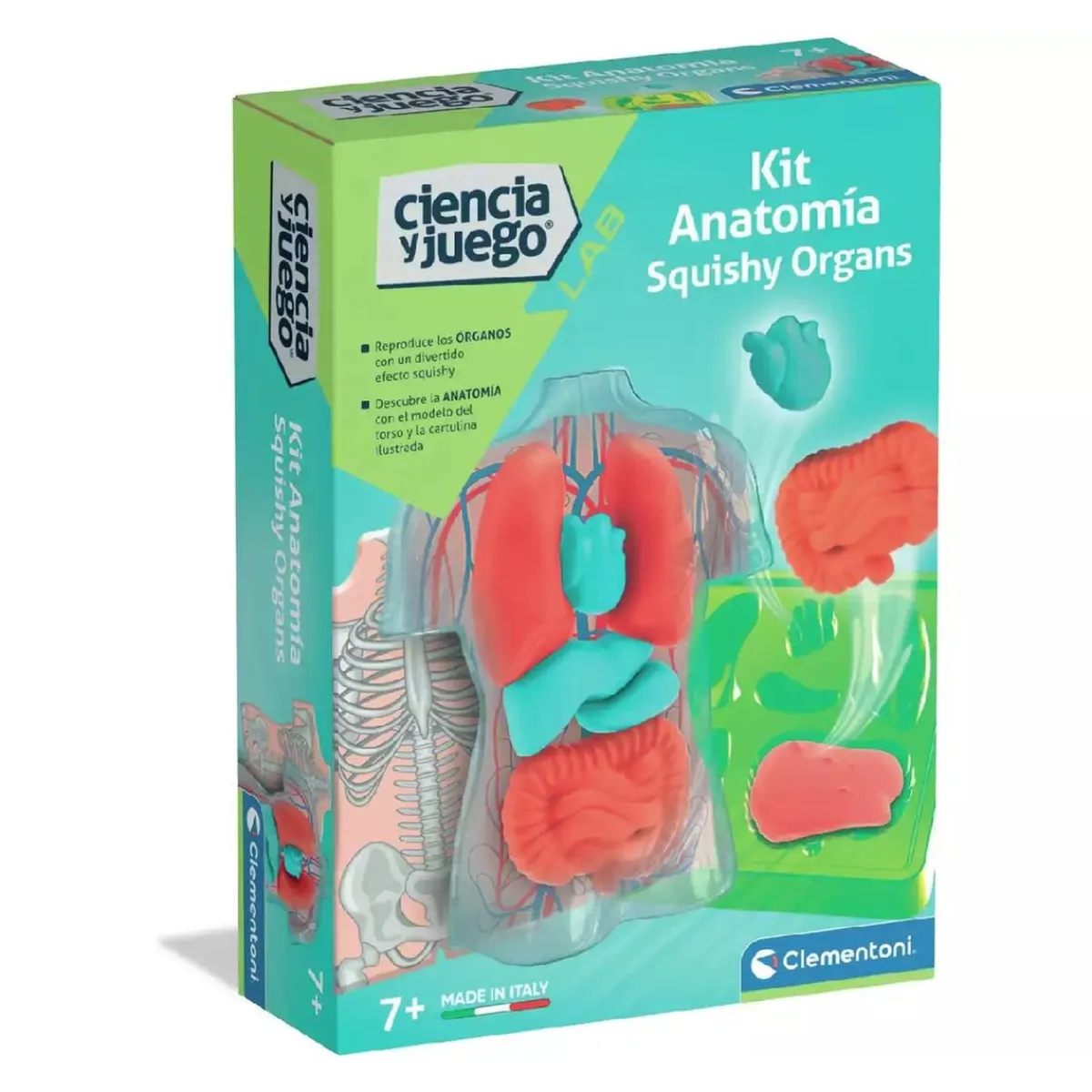 CLEMENTONI Steam*- Kit Anatomía Squishy Organs