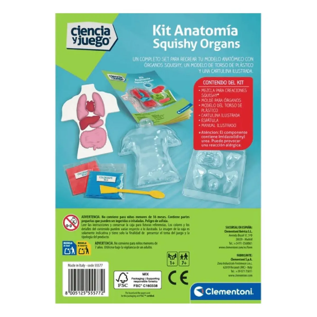 CLEMENTONI Steam*- Kit Anatomía Squishy Organs