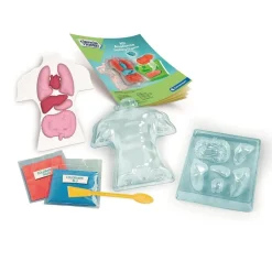 CLEMENTONI Steam*- Kit Anatomía Squishy Organs