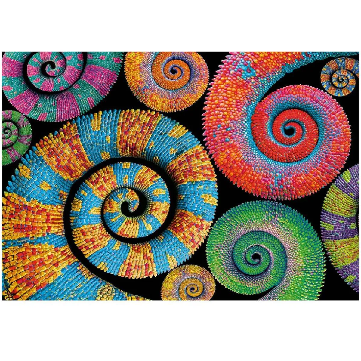 CLEMENTONI Juegos Y Puzzles*- Puzzle 500 piezas Colorboom Collection - Colas rizadas