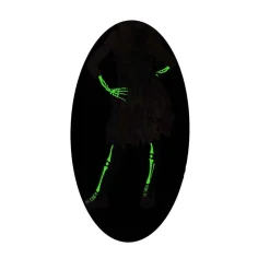 RUBIE'S Disfraces|Halloween*Disfraz infantil - Skelita de los muertos talla M