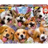 EDUCA BORRAS Juegos Y Puzzles*- Puzzle Paisaje Perros 1000 Piezas ㅤ