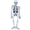 TOYS "R" US Disfraces|Halloween*Esqueleto de papel 140 cm