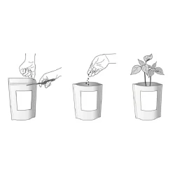 GARDEN POCKET Steam*Kit de cultivo de cilantro