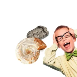 CLEMENTONI Steam*Miniset Kit de paleontología