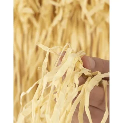 Funidelia Disfraces|Halloween*Primo Eso La Familia Addams Talla única