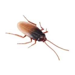 ARDITEX Figuras De Acción*Robo Alive - Cucaracha robótica que brilla en la oscuridad