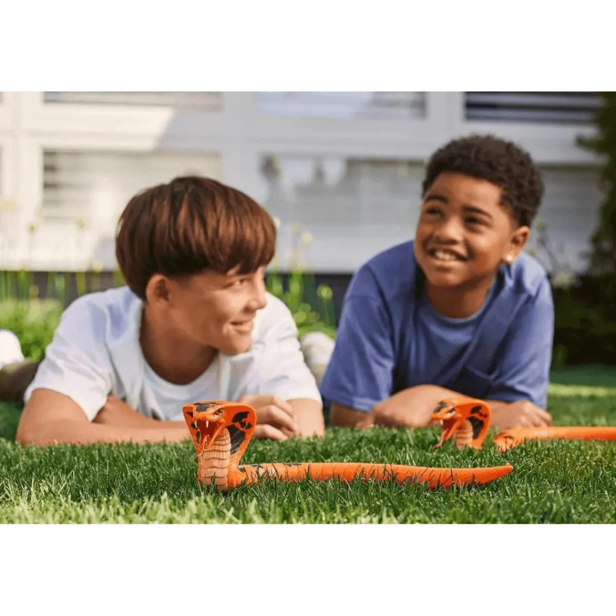 ARDITEX Figuras De Acción*Robo Alive - King Cobra