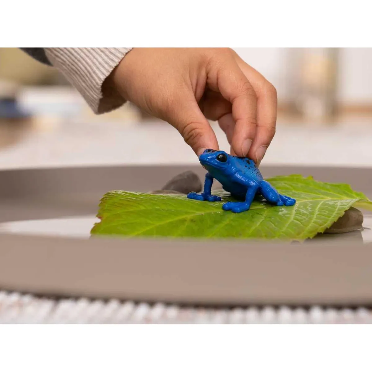 SCHLEICH Coleccionables Y Mini Mundos*- Figura de juguete rana flecha azul vida salvaje ㅤ