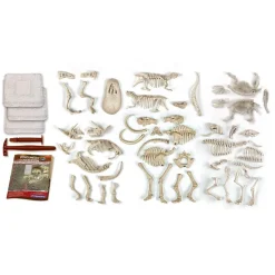 CLEMENTONI Steam*Set de Excavación Dinosaurios 5 en 1