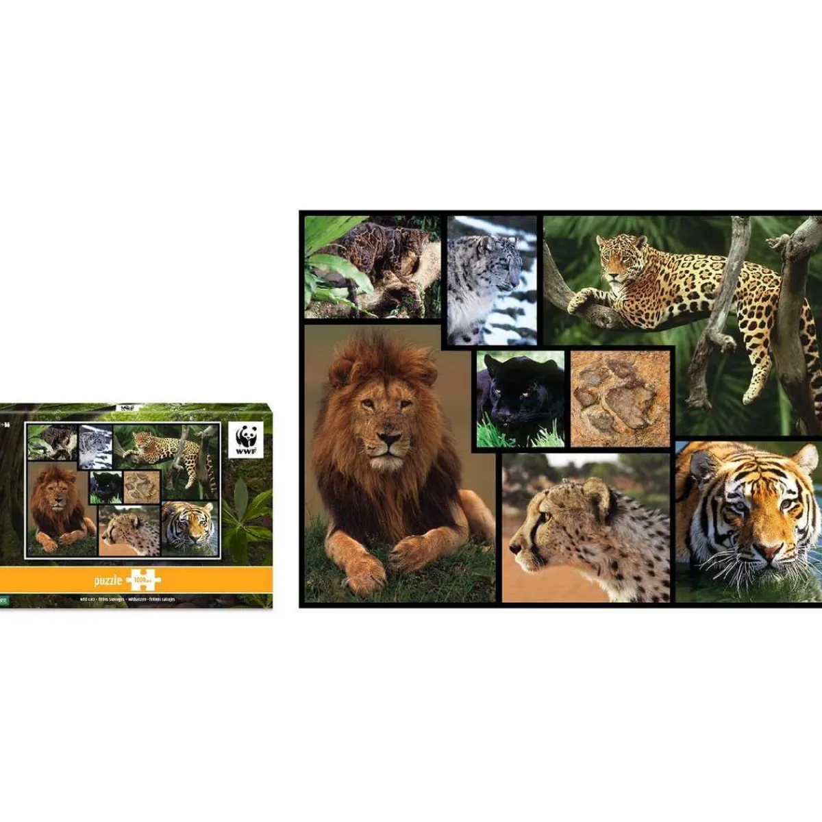 WWF Steam*- Felinos salvajes - Puzzle 1000 piezas