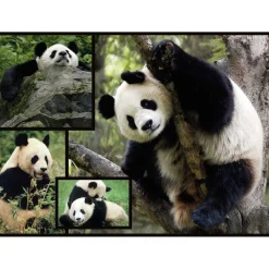 WWF Steam*- Pandas - Puzzle 1000 piezas
